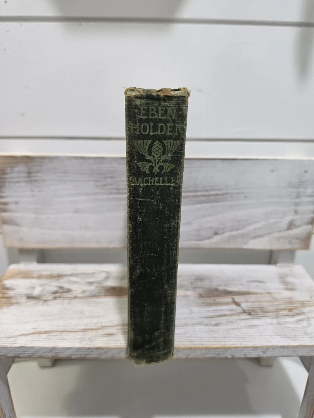 1900 Eben Holden By Irving Batcheller